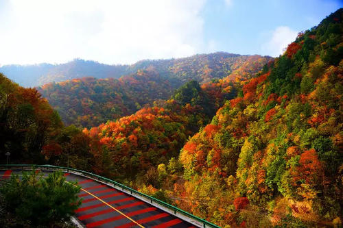 ◆黃柏塬原生態風景區(國家AAA級旅游景區)